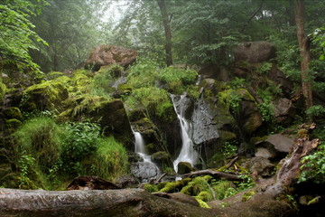Waterfall In A Mystical Forest