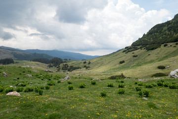 Naklejka premium View from Bucegi mountains, Romania, Bucegi National Park