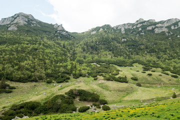 Fototapeta premium View from Bucegi mountains, Romania, Bucegi National Park