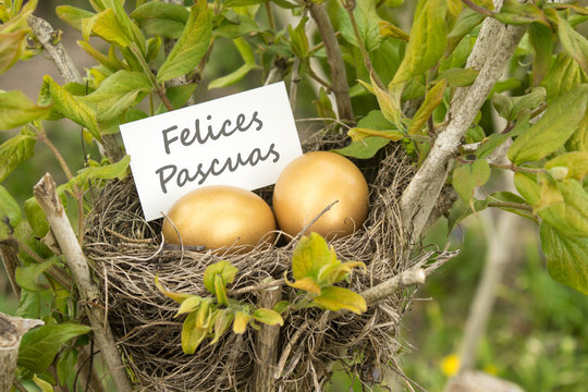 Happy Easter / Easter card with bird's nest, golden eggs and spanish text:  Happy Easter 