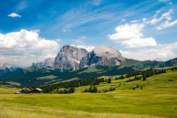Obraz premium Dolomiti - Alpe di Siusi - Sassolungo e Sassopiatto - Italy