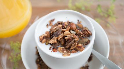 Granola on yogurt in a white bowl closeup studio photo 