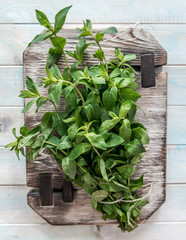Heavy cutting board, fresh veiny mint leaves, topview