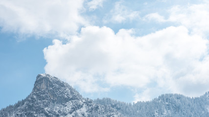 Foggy view of mountain, trees full of snow.