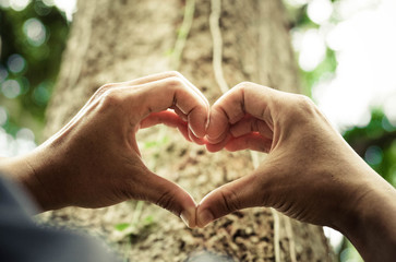 hands forming a heart shape around a big tree - protecting and love nature