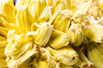 Open jackfruit close up texture © creativefamily