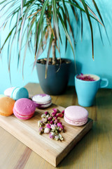 Beautiful french macarons and aroma cappuccino cup on table with plant in vase. Blue wall background. Commerce concept