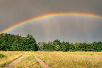 Schöner Regenbogen mit Regen Fallstreifen und Weg im Feld