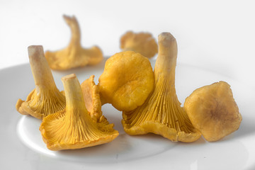 Pfifferlinge