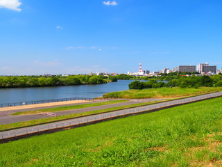 初夏の江戸川風景
