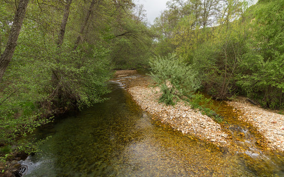 Rio entre Vegetacion en Primavera. Rio Duerna