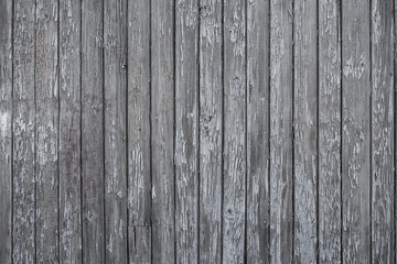 Fototapeta premium Old wooden surface with knots, cracks and textures. Toned. 