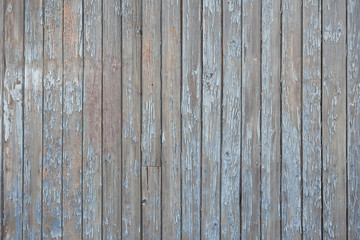 Fototapeta premium Old wooden surface with knots, cracks and textures. Toned. 