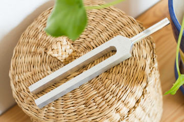 tuning fork  .
