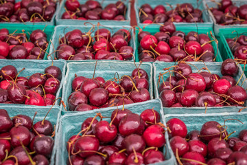 Colorful cardboard cartons of fresh cherries on display at the local farmers market