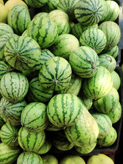 Fototapeta na wymiar Many small watermelons in the open market