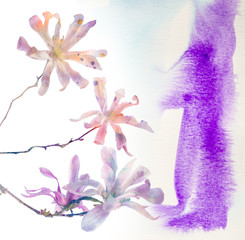 magnolia flowers  - photo with with a watercolors texture