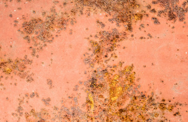 texture of painted wall close-up