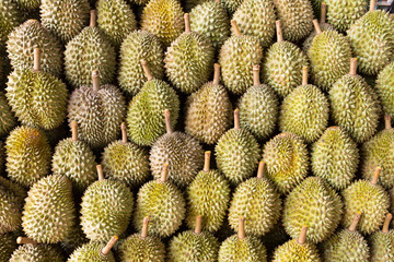 durian king of fruit