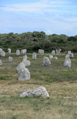 Menhire von Carnac