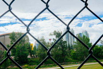 Fence skyline Calgary