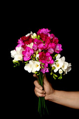 Hand with beautiful bouquet of freesia on black background