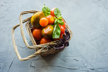 organic food concept