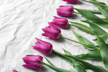 Beautiful tulips on paper background