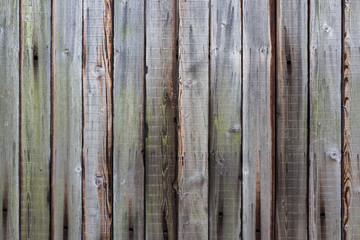 Fototapeta premium Wooden planks.