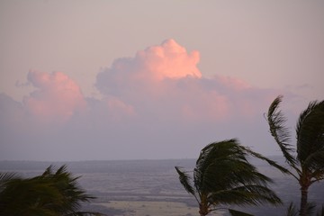 Maui