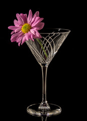 flower in a glass