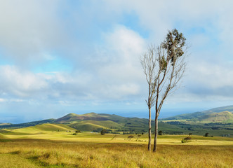 Fototapeta na wymiar Landscape of the island seen from the way up to the Maunga Terevaka, Easter Island, Chile