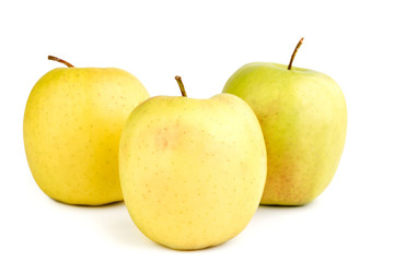 ripe yellow apples on a white background