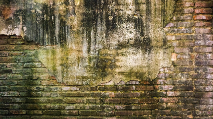 Cracked old brick and concrete wall covered with moss and tree trunk. high humidity abandon texture background
