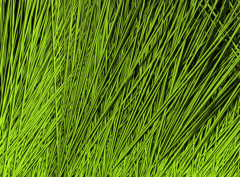 Green Panorama