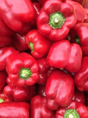 rote Parika