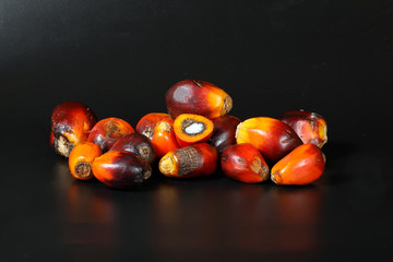 Oil Palm Fruit Product
