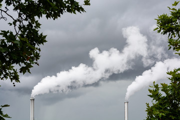 Industrial smoke emission from factory chimney under a stormy sky with foliage in the foreground.