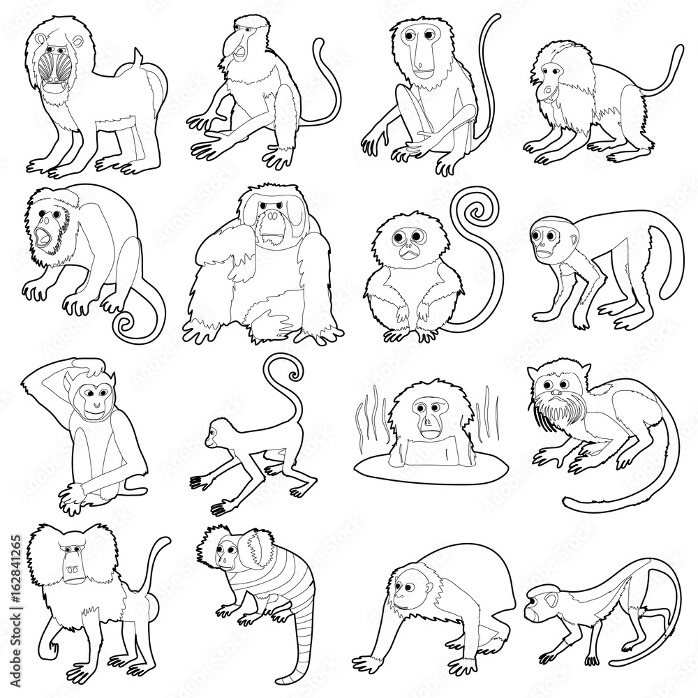 Wall mural monkeys types icons set, outline style - Wall murals