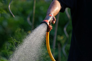 Garten wässern