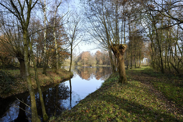 Flusslanschaft mit Baeumen und See
