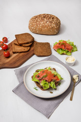 Salmon sushi on the bread and salad