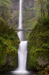 Fototapeta premium Waterfalls of Oregon 