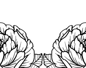 Floral background, fragment of a rose - close-up - stamp