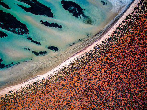 Shark Bay - Western Australia - SWD0026 