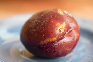 fresh plum just harvested