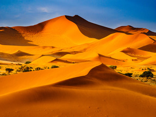 Contrasting Dune in the Afternoon Sun. Namibia Desert, Namibia