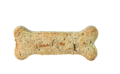 One dog biscuit in the shape of a bone,