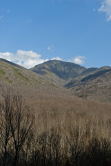 Clouds, Winter Landscape, Great Smoky Mountains NP