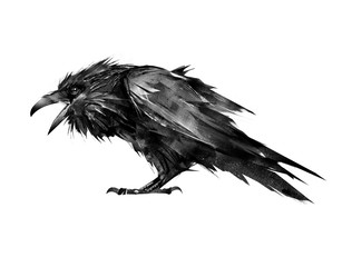 painted Raven sitting on a white background